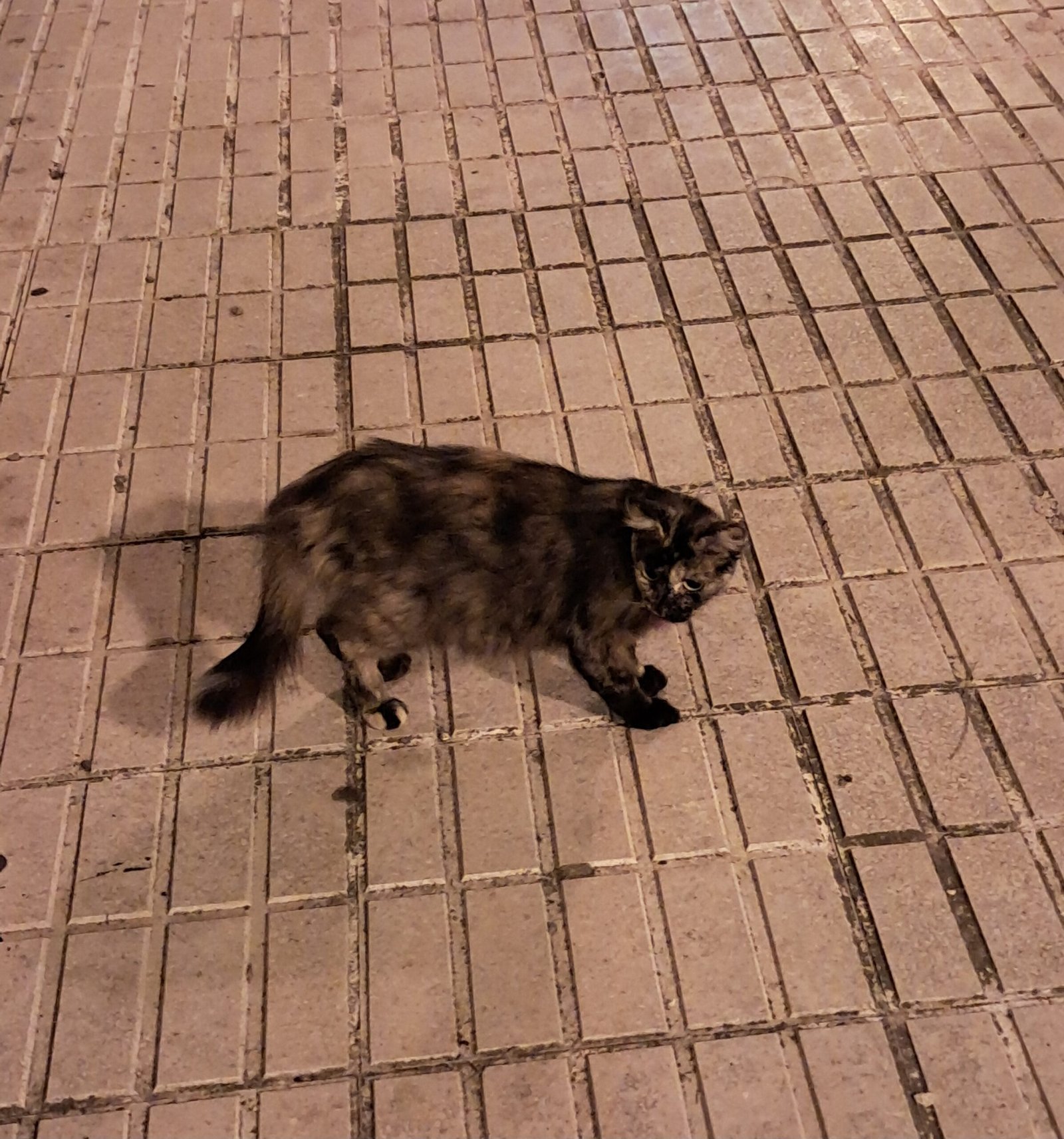 20250516_004527